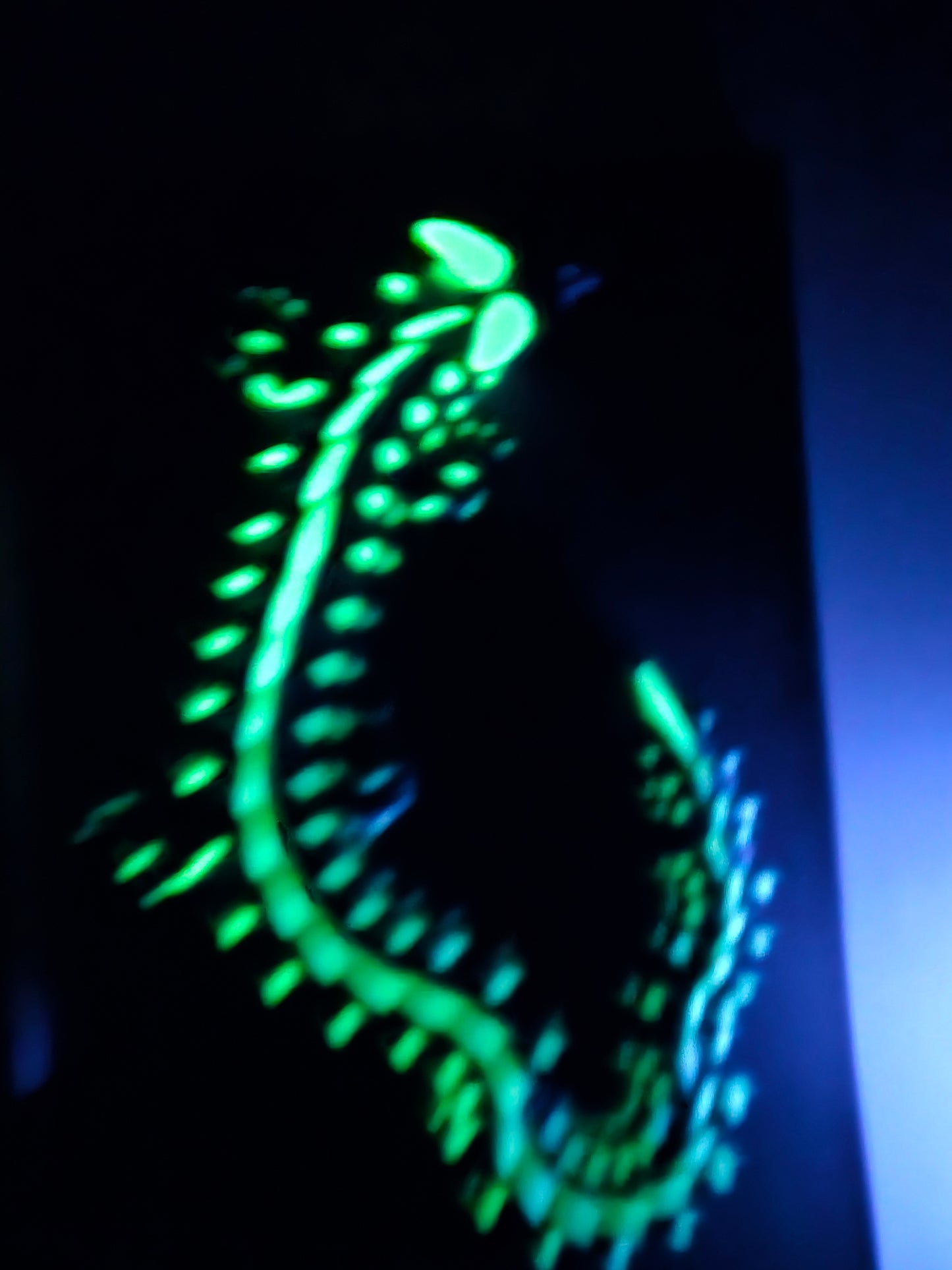 dragon top part glow in dark